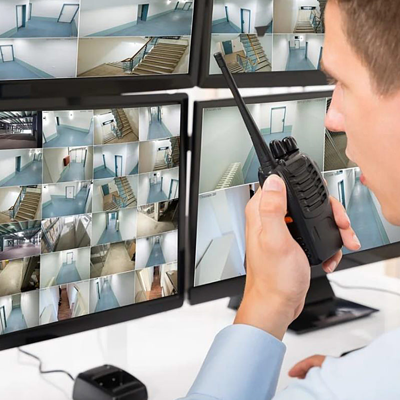Guardias virtuales